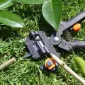 REPPEX - INSTRUMENT PENTRU ALTOIREA ȘI TĂIEREA POMILOR FRUCTIFERI