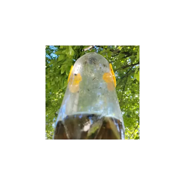 CATCHIX - CAPCANĂ PENTRU INSECTE DE GRĂDINĂ