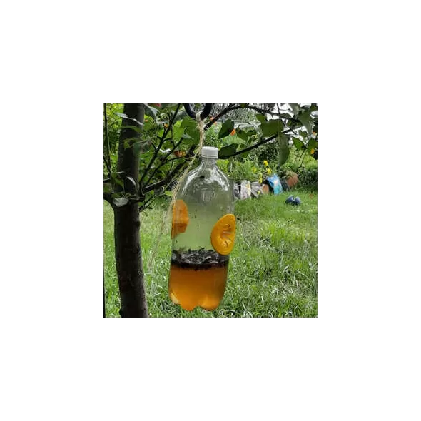 CATCHIX - CAPCANĂ PENTRU INSECTE DE GRĂDINĂ